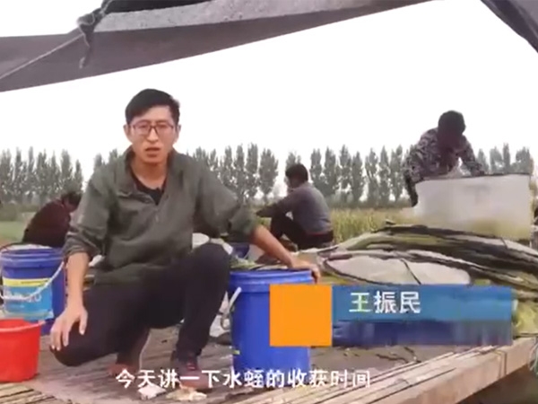 明升官网收获时间