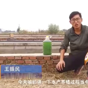 水产养殖历程中藻类的使用先容