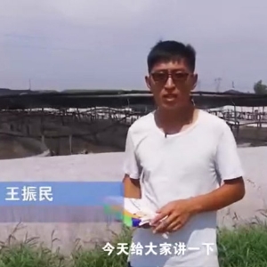 菌种先容-芽孢杆菌先容