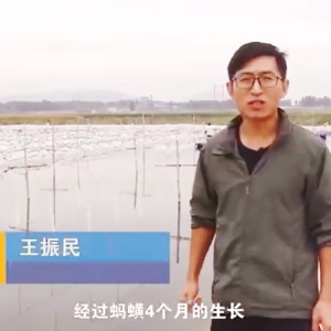 明升官网收获流程